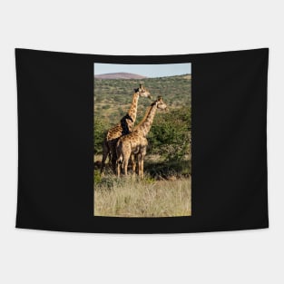 Two giraffe. Tapestry