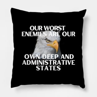 Our Worst Enemies are our own administrative and deep states Pillow