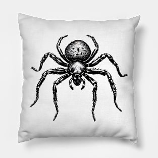 Arachnid Artistry: Spider Sketch on White Pillow