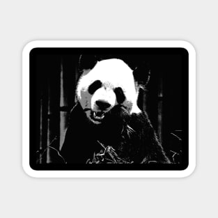 Cute Giant Panda Bear with tasty Bamboo Leaves Magnet