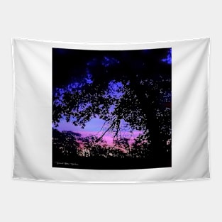 Texas Fall Sunset Tapestry