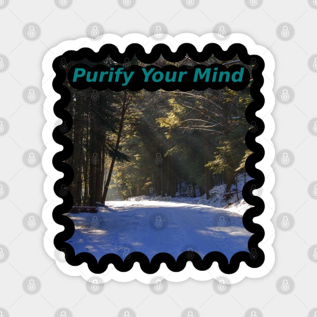 Purify Your Mind Magnet by Mohammad Ibne Ayub