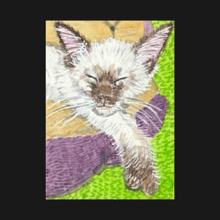 Siamese kitten T-Shirt