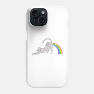 Cat Pooing Rainbow 01 Phone Case