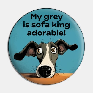 My grey is sofa king adorable! Pin