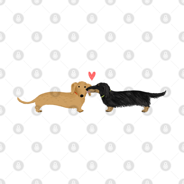 Dachshunds Love | Cute Wiener Dogs with Heart - Dachshund - T-Shirt