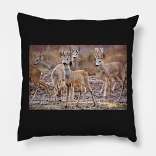 Roe deer family Pillow