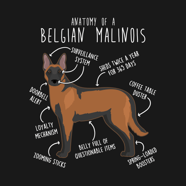 Mahogany Red Belgian Malinois Dog Anatomy by Psitta