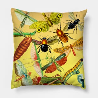 Bulk of beautiful insect Pillow