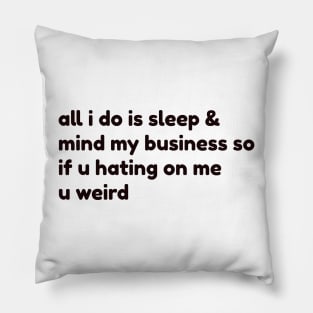 all i do is sleep and mind my business so if u hating on me u weird Pillow