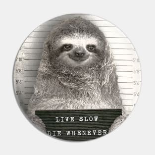 Sloth in a Mugshot - Print / Home Decor / Wall Art / Poster / Gift / Birthday / Sloth Lover Gift / Animal print Canvas Print Pin