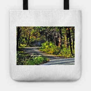 Winding Roads Tote