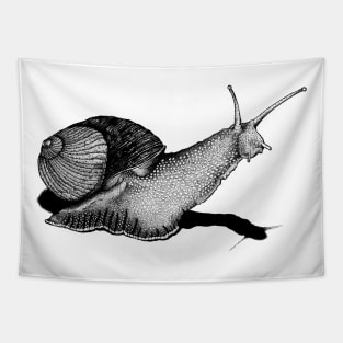 Snail Tapestry