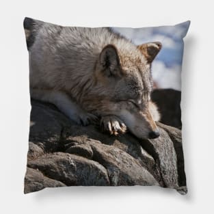 Timber Wolf Pillow