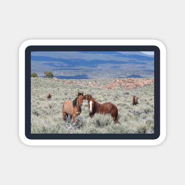 Wild horses, mustangs, wildlife, nature, gifts Magnet by sandyo2ly