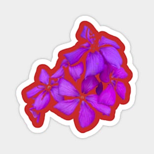 Purple Flower in Florida Magnet