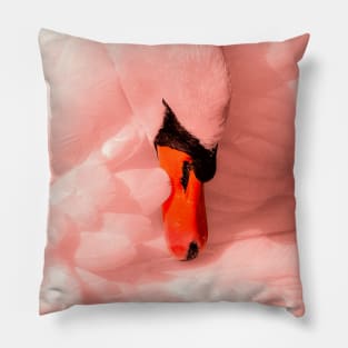 SWAN PINK Pillow