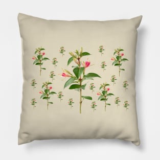 Fuchsia 'Princess Charlotte' Pillow