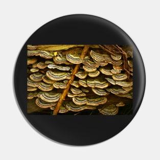 Fungi Frills Pin