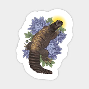 Os the Uromastyx with Chrysanthemum Magnet