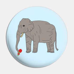 Elephant Lover Pin