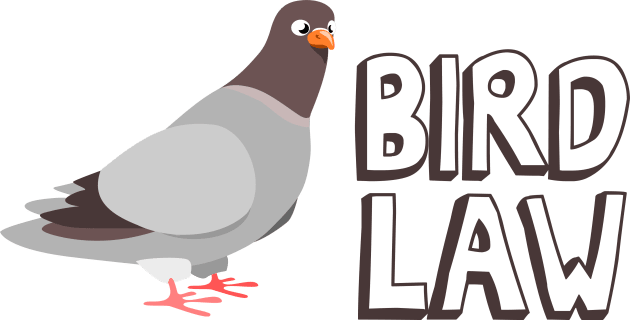 Bird Law Kids T-Shirt by Nonstop Shirts