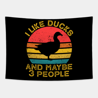 I Like Ducks And Maybe Like 3 People Tapestry