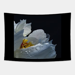 angels Tears Tapestry