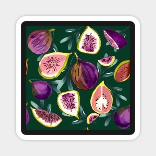 FIGS Magnet