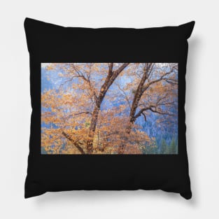 Black Oaks Fall Pillow