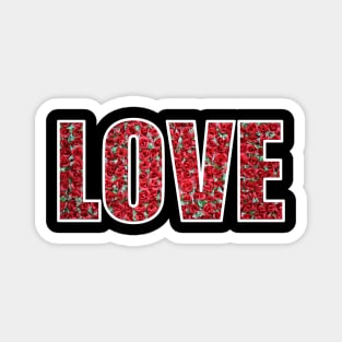 Love and red roses Magnet