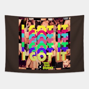 SpinSpinBunny Single 'I Got It' Artwork Tapestry