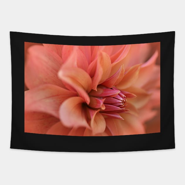 Depth of Dahlia Tapestry by gracethescene