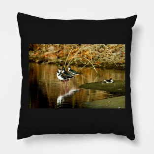 Oiseaux aux repos en bord de l'eau Pillow