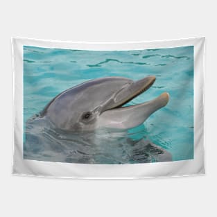 Dolphin Tapestry