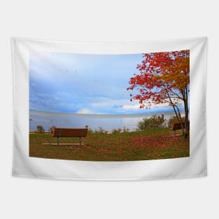 A seat by the lake. Tapestry