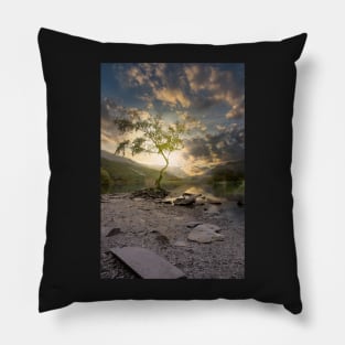 Lonely Tree Pillow