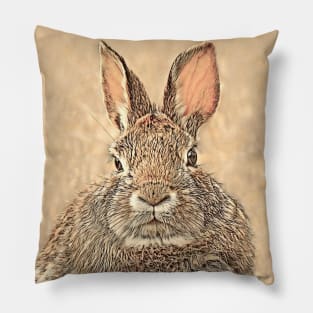 Cottontail Rabbit-A Pillow