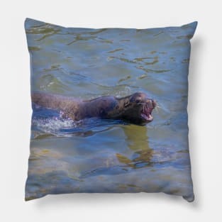 Arguing Sea Lion Seal Swimming, Showing Teeth Pillow