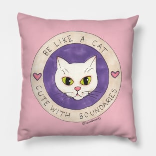 Boundaries Pillow