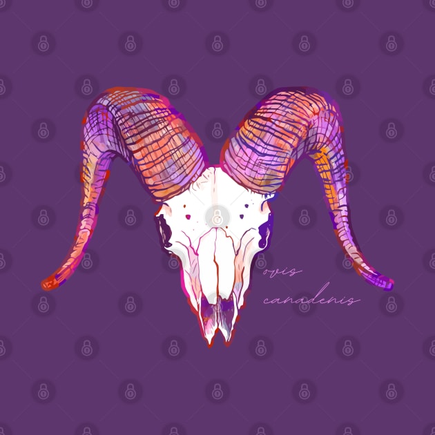 Bighorn Sheep Ram Skull by Nat Rodgers 