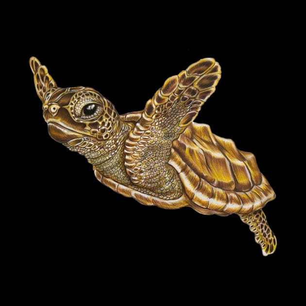 Baby Sea Turtle by Tim Jeffs Art