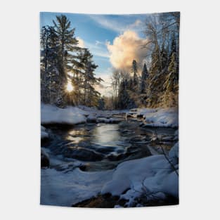 Nature's Symphony: Sunrise Unveils Snowy Stream's Renewal V1 Tapestry