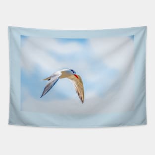 Royal Tern Catching the Sunlight Tapestry