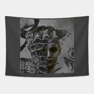 Beautiful girl face, overlay of knight arm with armor. Warrior. Tapestry