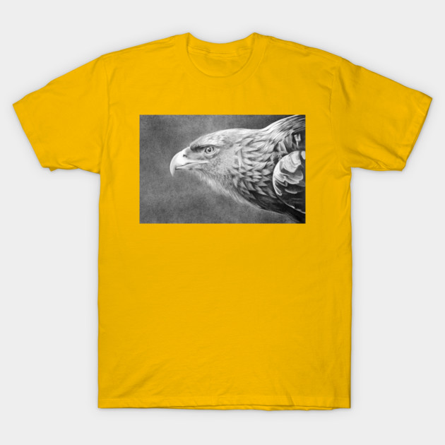 Golden Eagle Drawing By Iain Stone