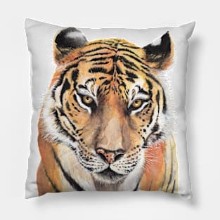Tiger Watercolor Pillow