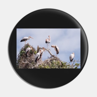 Yellow Billed Stork colony Pin