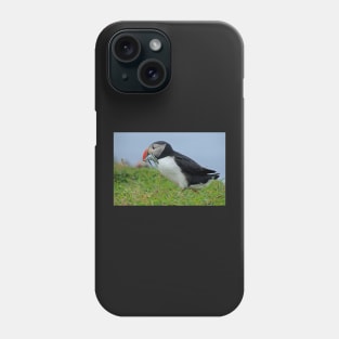 Peckish puffin Phone Case