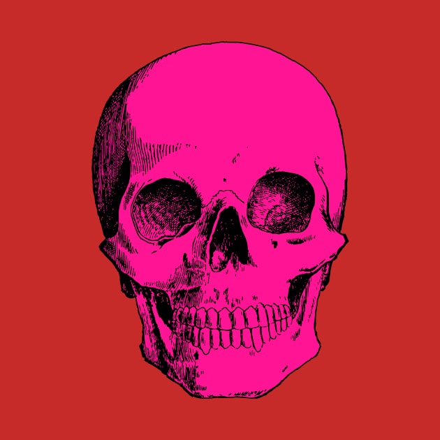 Pink Skull by JadeTees